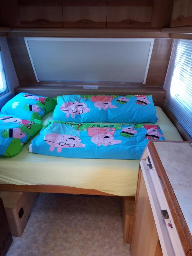 Urlaub Machen Direkt Am Irland Das Kinderparadies In Twisteden Im Grossen Garten Bei Privatleute Fur Maximal Sechs Personen Кавелар Экстерьер фото