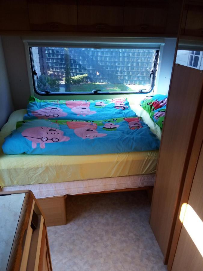Urlaub Machen Direkt Am Irland Das Kinderparadies In Twisteden Im Grossen Garten Bei Privatleute Fur Maximal Sechs Personen Кавелар Экстерьер фото